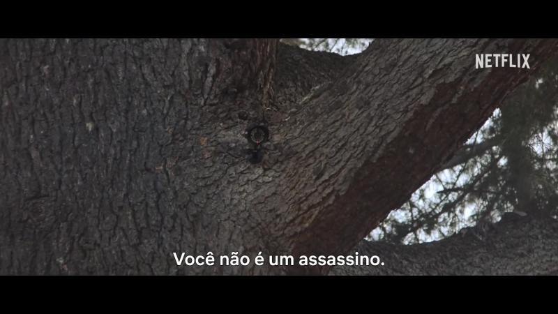 videoplayback_28229_000105.jpg