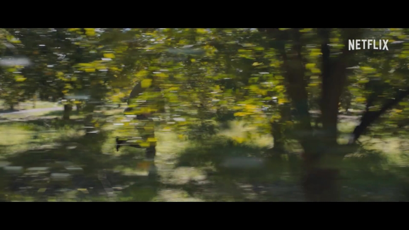 videoplayback_28229_000113.jpg