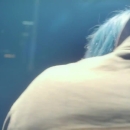M83_Claudia_Lewis_Official_Video_000457.jpg