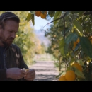 videoplayback_28229_000004.jpg