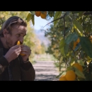 videoplayback_28229_000005.jpg