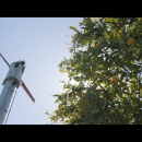 videoplayback_28229_000053.jpg