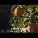 videoplayback_28229_000054.jpg