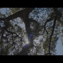 videoplayback_28229_000061.jpg