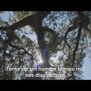 videoplayback_28229_000062.jpg