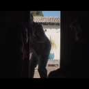 videoplayback_28229_000104.jpg