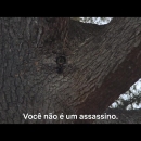 videoplayback_28229_000105.jpg