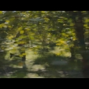 videoplayback_28229_000113.jpg